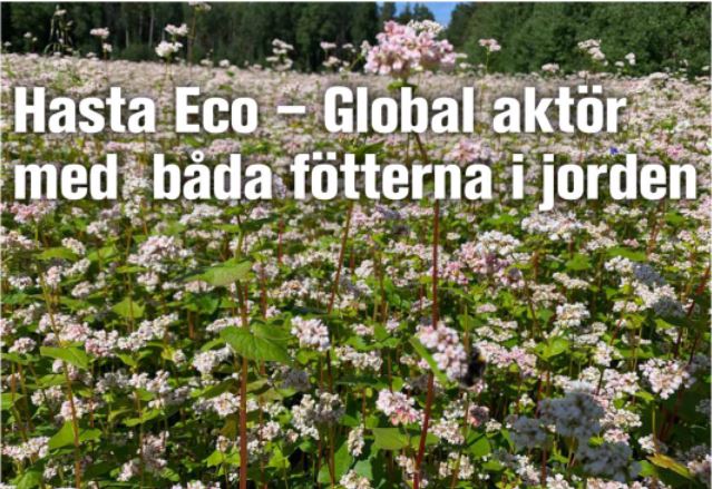 EcoWebb.nu Skriver om Oss!